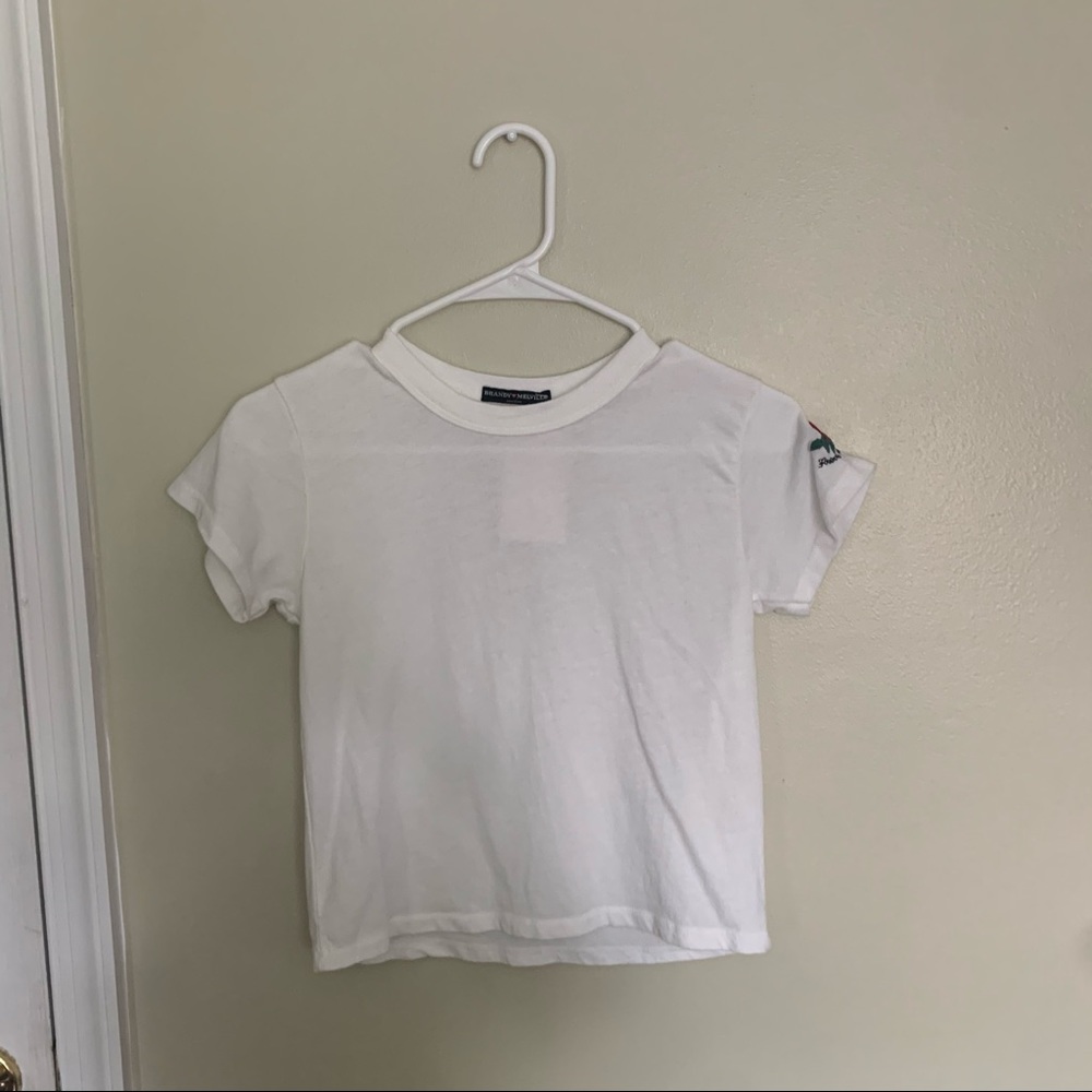 NWT Brandy Melville Rose Embroidered Top